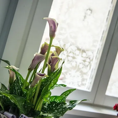 Apartment Domo - Goldoni Triest